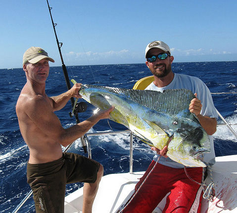 巨人鲯鳅鱼渔获巴哈马